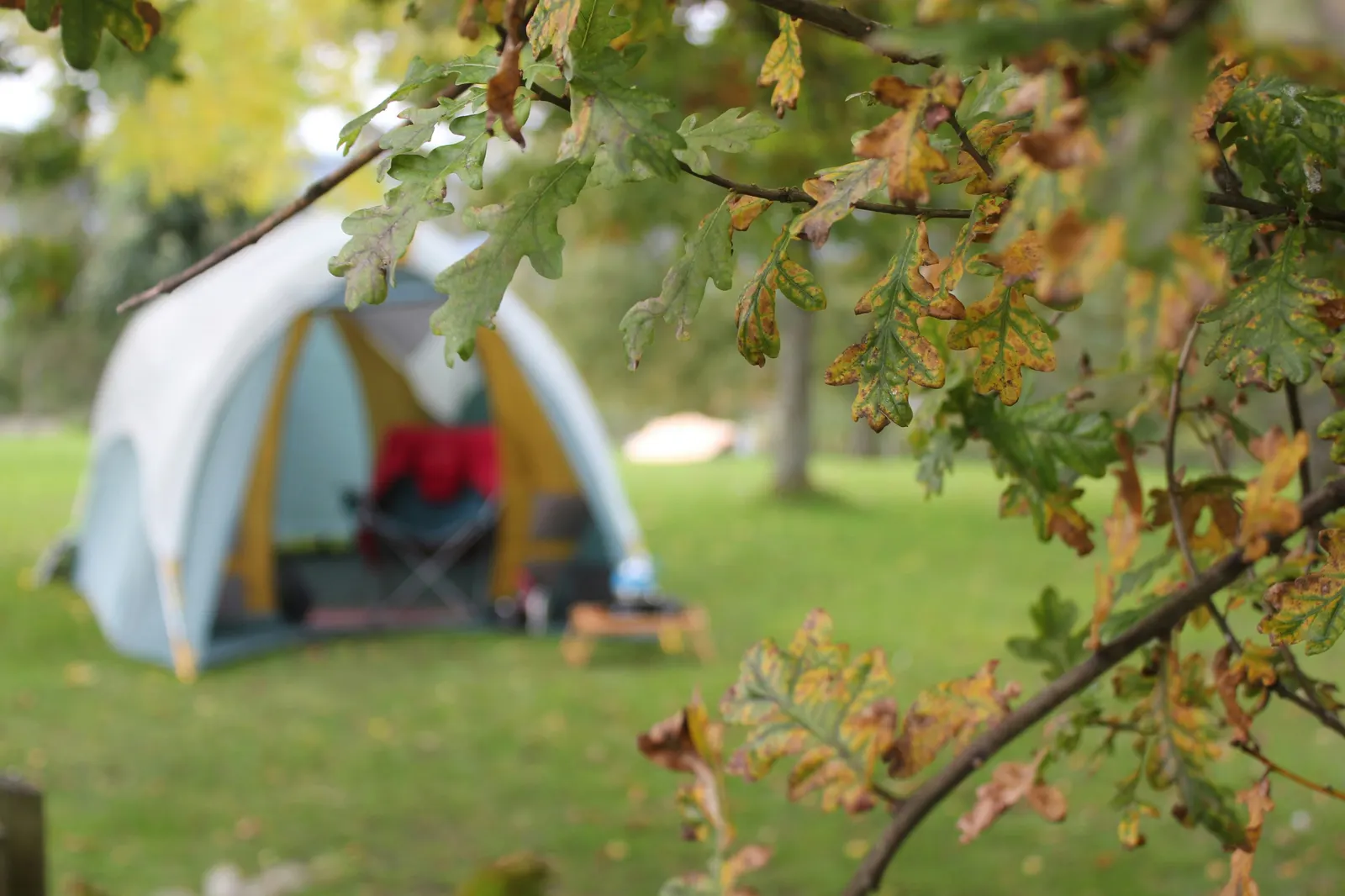Tent pitched at a campsite among trees